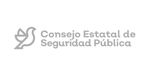 cesp_logo